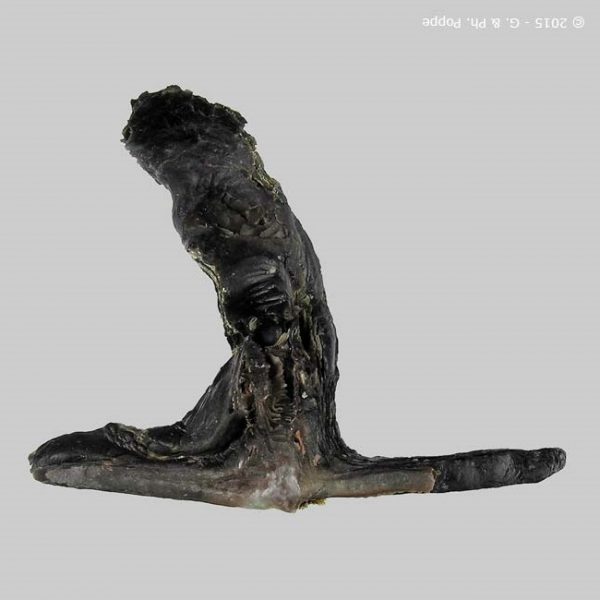 Malleus malleus