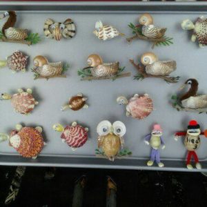 Shells Magnets/Stick IT