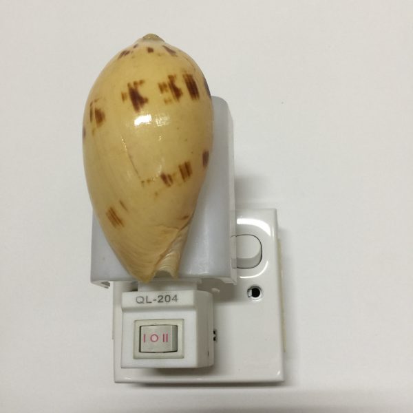 RT 215