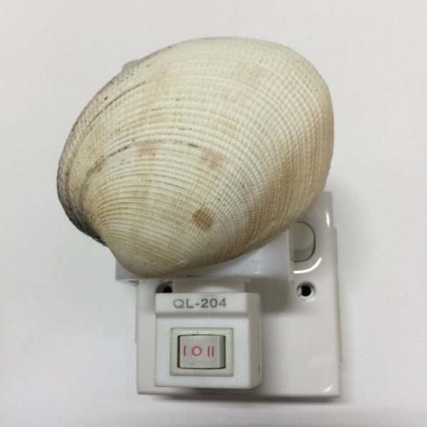 RT353