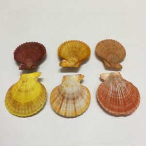 Size