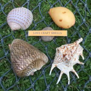 LOVE Craft Shells