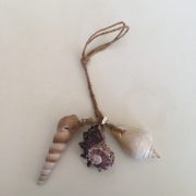 Shells  Bookmarks(3 in 1)