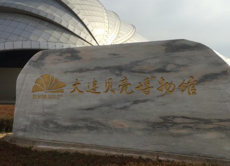 The Dalian Seashell museum contains a huge variety of shells and other examples of sea life (including a preserved giant squid). 
With more than 5,000 kinds of precious shells from all over the world on display inside, the building’s exterior has created quite a stir.
With four floors above ground and one floor underground, the building contains about 18,000 sqm of space. The structure is fittingly aligned with the theme of shells and mixes a multitude of versatile organic forms in its design.