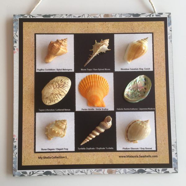 Size -12x12”,Weight- 600grams,Thickness 8mm