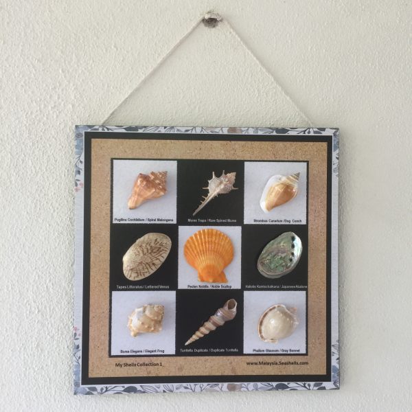 Size :L12”xW12” x T 8mm(0.3”)
Weight:600grams