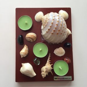 Seashells unique shaped tealight candle with luxury highly Scented Candles ;Green Apple .