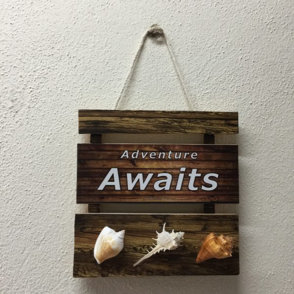 Size :L8”x W8”x T0.25”,Shells 1-3 “(3 pcs)
Weight: Approx.180grams