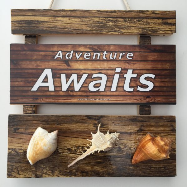 Size :L8”x W8”x T0.25”,Shells 1-3 “(3 pcs)
Weight: Approx.180grams