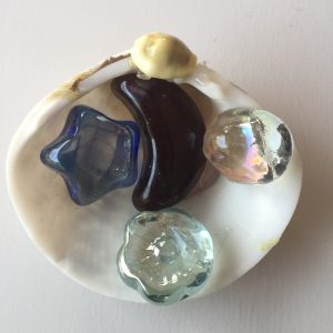 Seashell Multicolor Stone Pebbles
