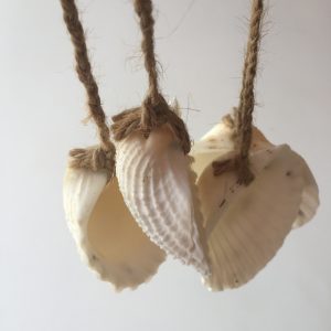 Size :2-3”Shells,String Length 6”,Weight:Approx.50grams each