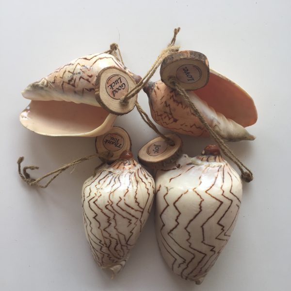 Size 4-6",Weight 200-250grams