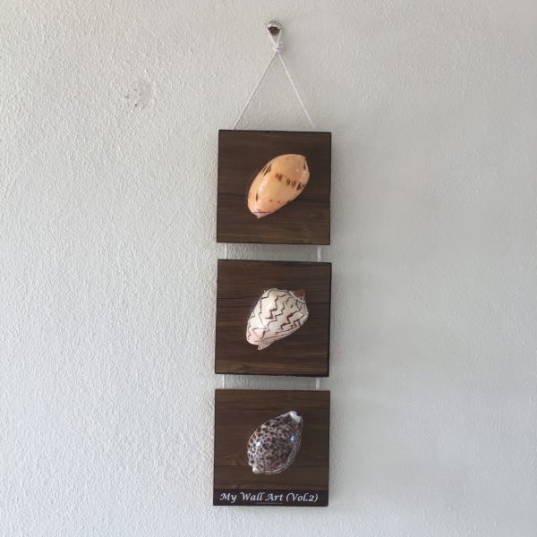Size:L6”xW6”xT0.25”,Shells 3-4inches(3pcs) Length/Height 24” x Gap 1”                            Weight: Approx.500-600 grams