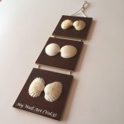 Size:L6”xW6”xT0.25”,Shells 3-4inches(3pcs) Length/Height 24” x Gap 1”                            Weight: Approx.500-600 grams