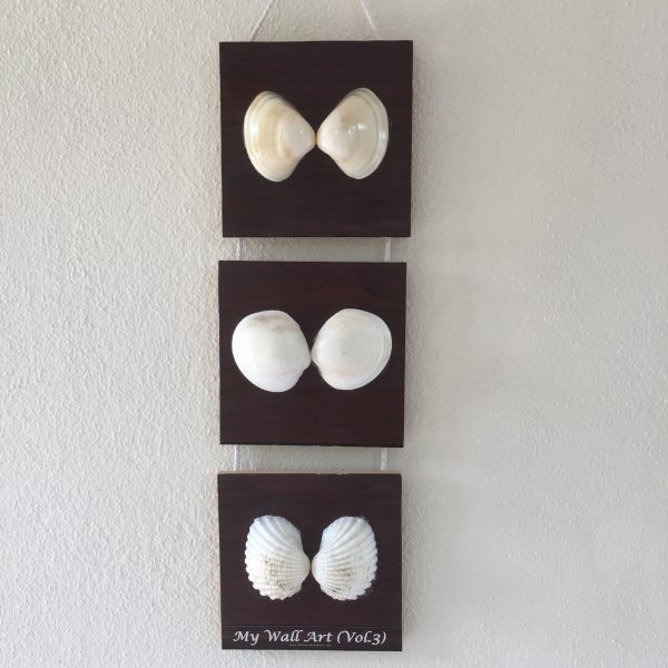 Size:L6”xW6”xT0.25”,Shells 3-4inches(3pcs) Length/Height 24” x Gap 1”                            Weight: Approx.500-600 grams