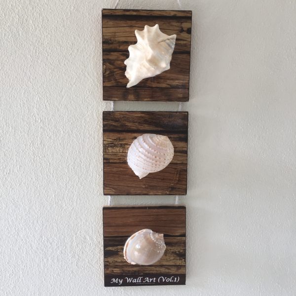 Size:L6”xW6”xT0.25”,Shells 3-4inches(3pcs) Length/Height 24” x Gap 1”                            Weight: Approx.500-600 grams