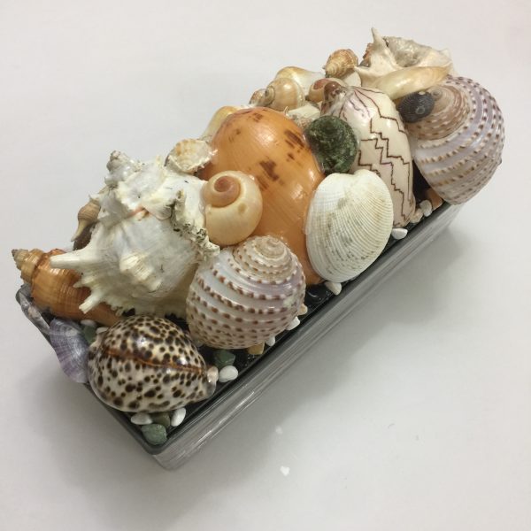 Size :L16”xW5”xH4”,Shells 1-7”,Weight 2-2.5kgs