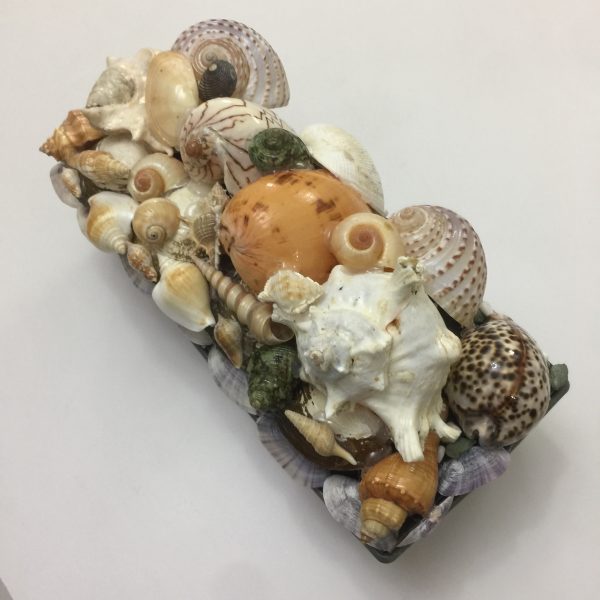 Size :L16”xW5”xH4”,Shells 1-7”,Weight 2-2.5kgs