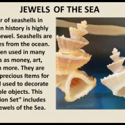 Jewels Of The Sea