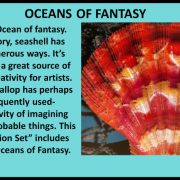 Oceans Of The Sea