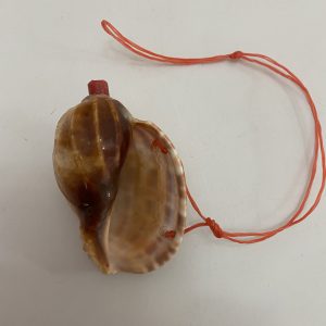 Size:3-4” Weight:Approx.50 grams